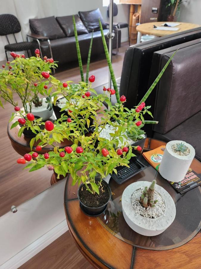 Fujima Hostel ساو باولو المظهر الخارجي الصورة